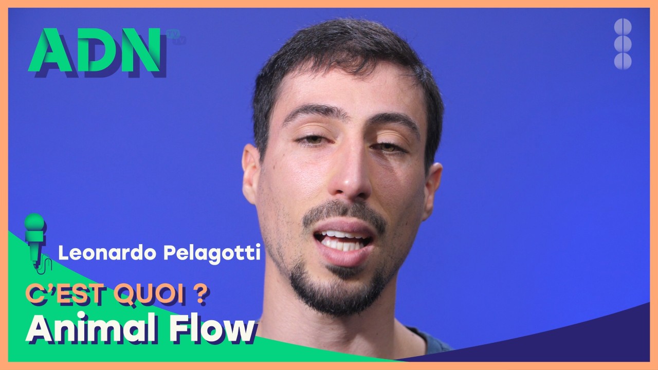 Animal Flow, c'est quoi ?