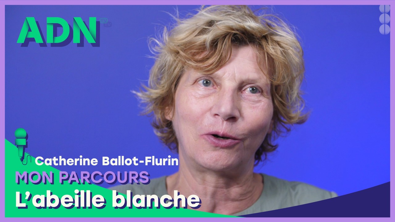 Mon parcours : L'abeille blanche