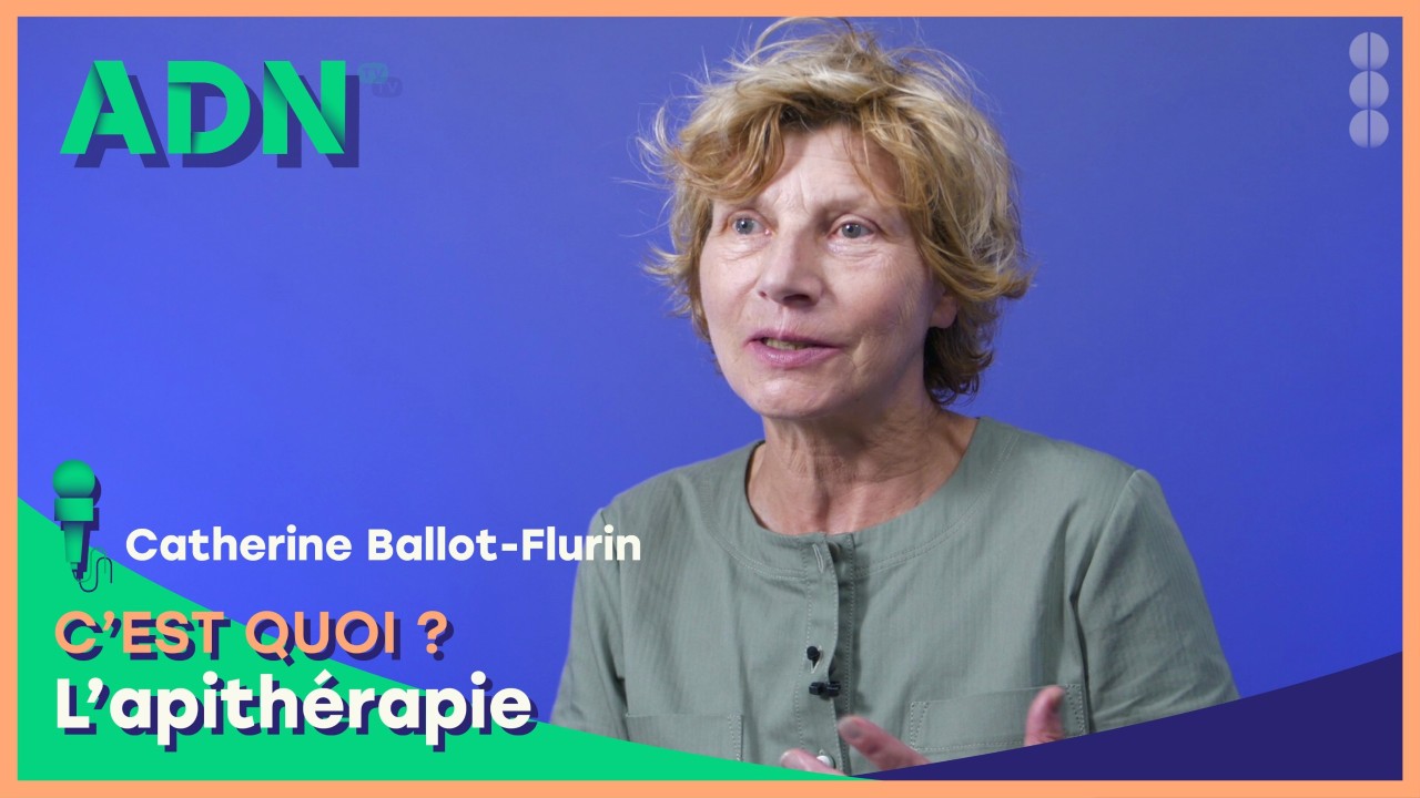 L'apithérapie, c'est quoi ?