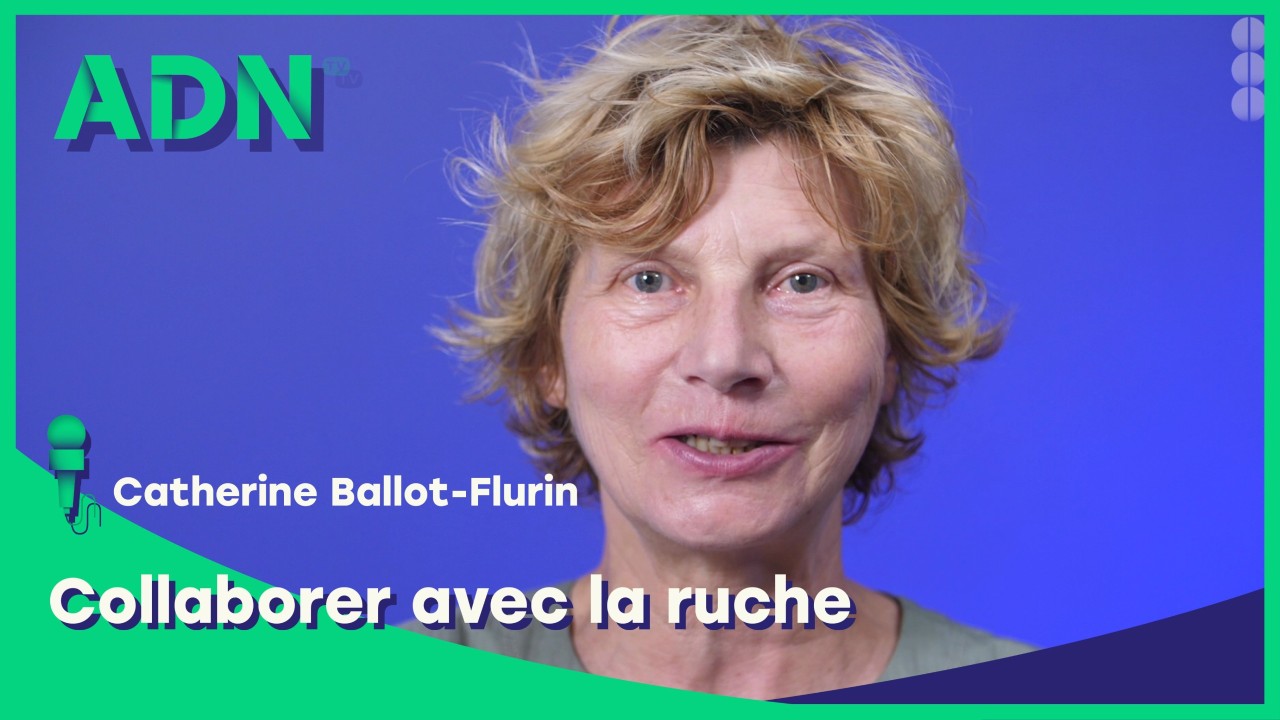 Collaborer avec la ruche