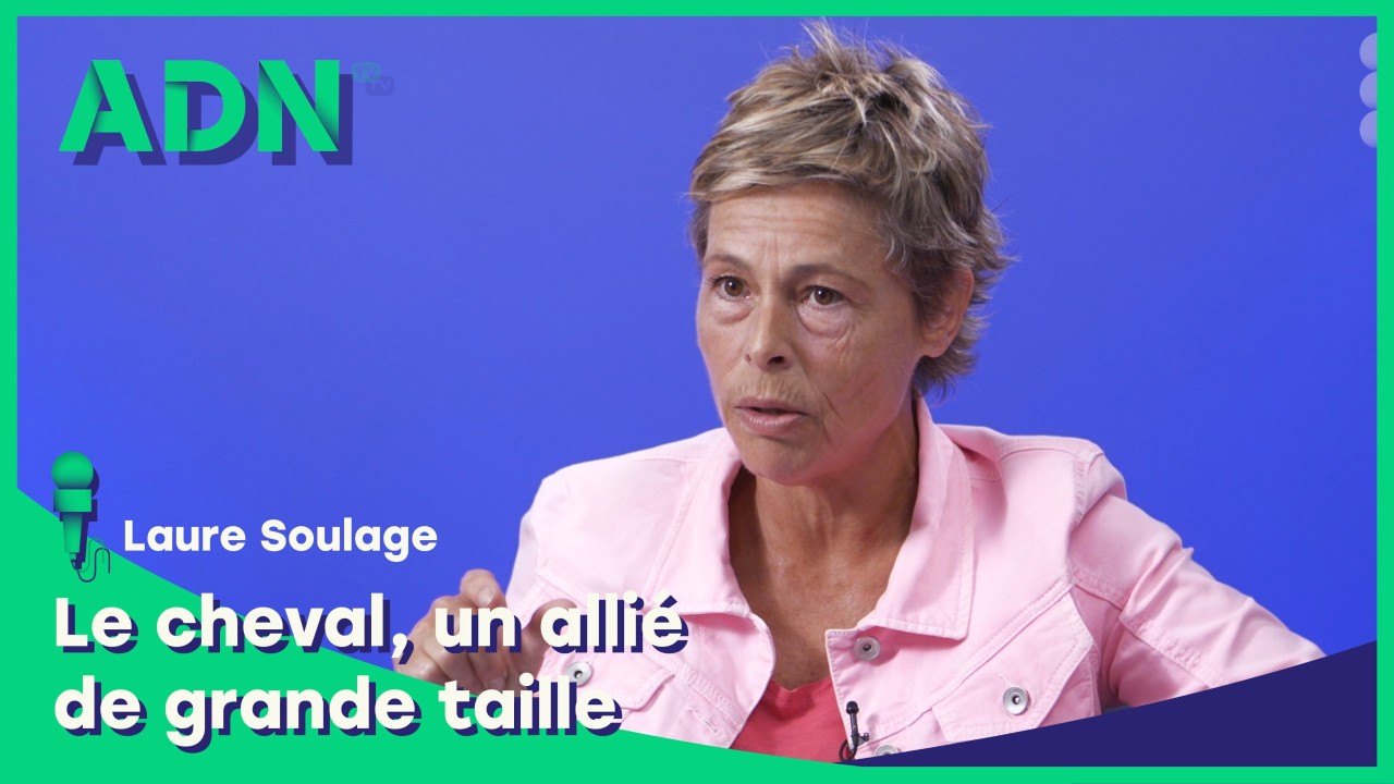 Le cheval, un allié de grande taille