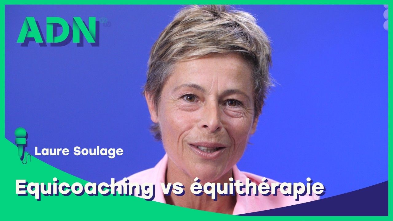 Equicoaching vs Equithérapie