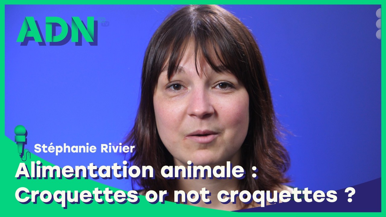Alimentation animale : Croquettes or not croquettes ?