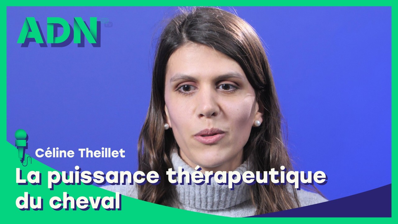 La puissance thérapeutique du cheval