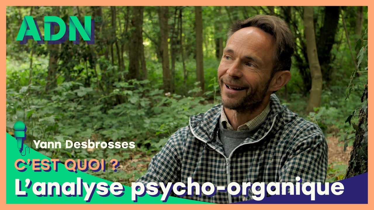 L’analyse psycho-organique, c’est quoi ?