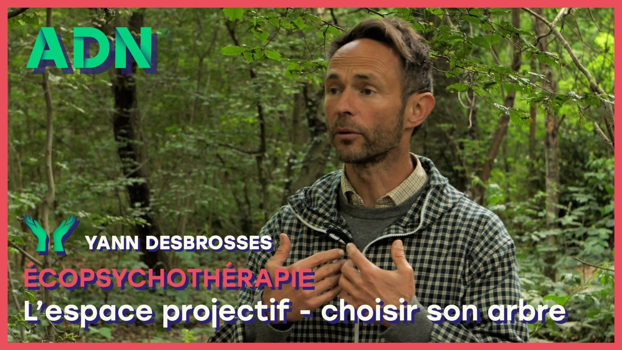 L’espace projectif - choisir son arbre