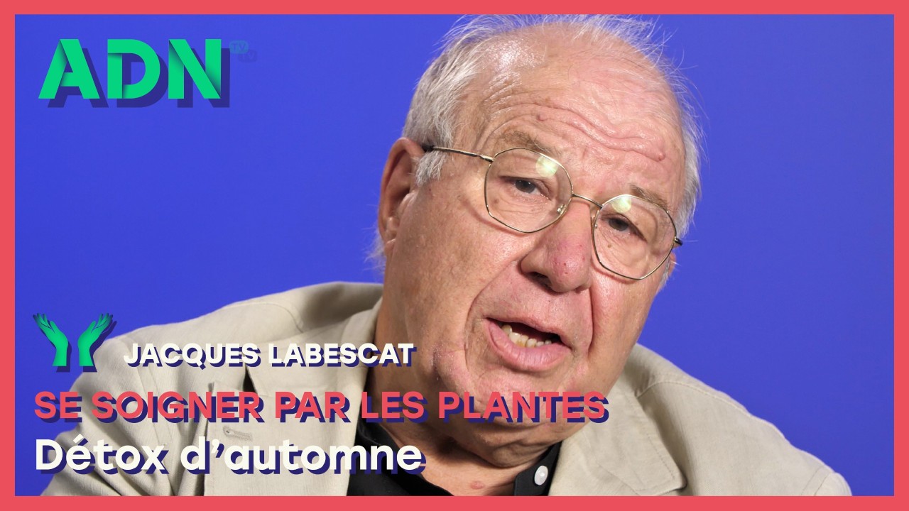 Se soigner par les plantes : Détox d’automne