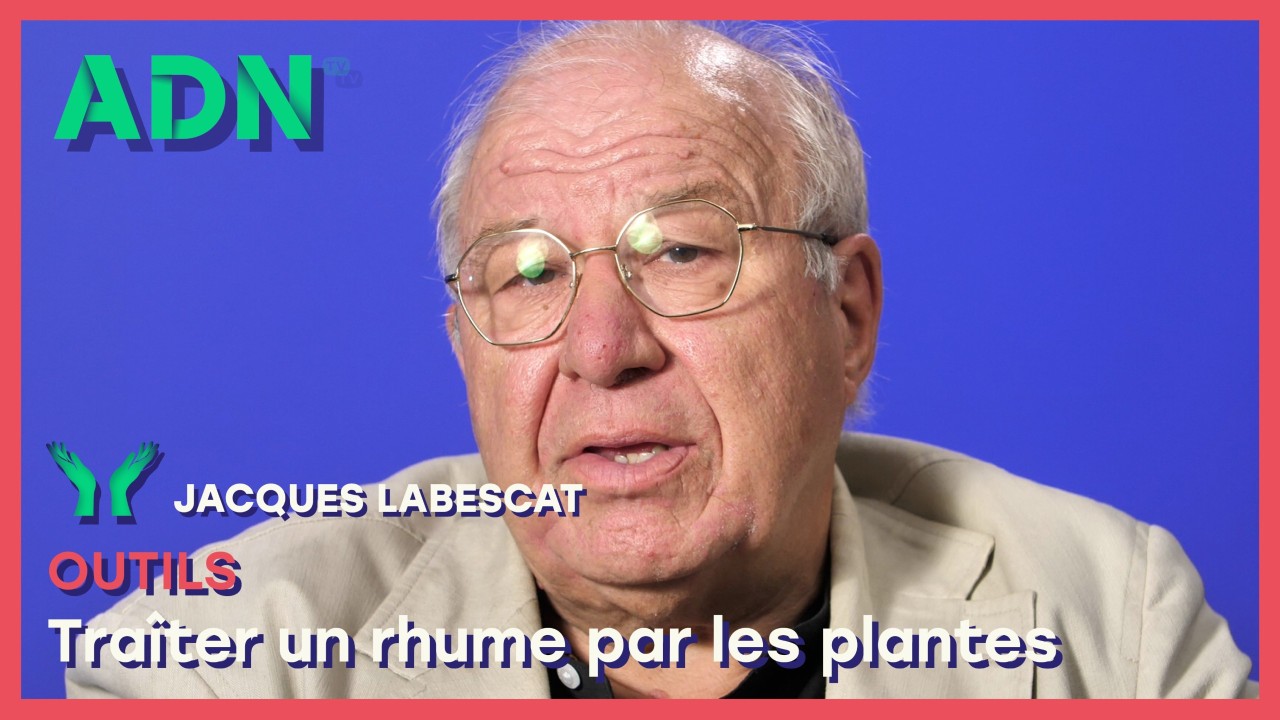Outils : Traîter un rhume par les plantes