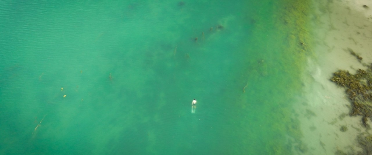 UN PILOTE, LE RHÔNE ET DES CARPES