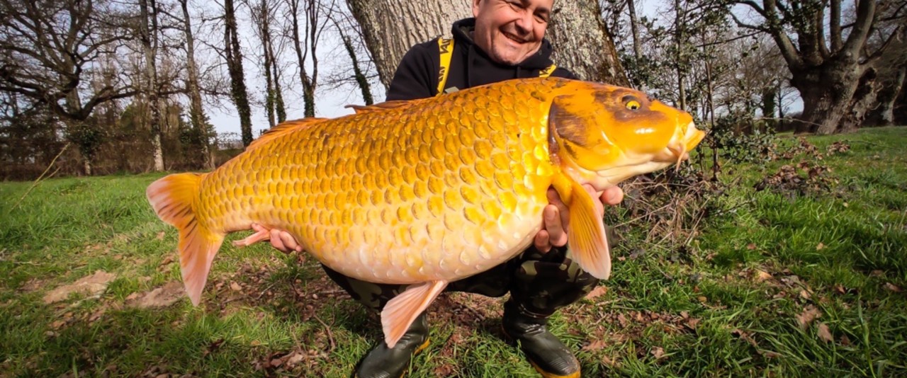 INTERVIEW - Eric DEBOUTROIS