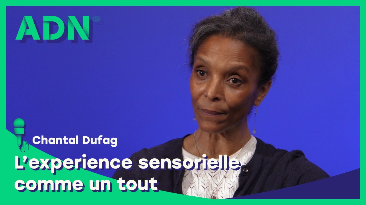 L'experience sensorielle comme un tout