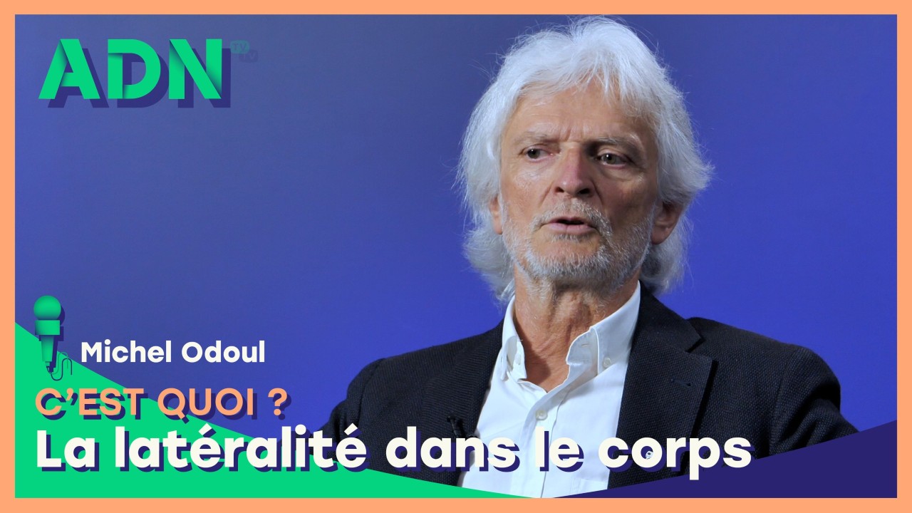 La latéralité dans le corps, c’est quoi ?