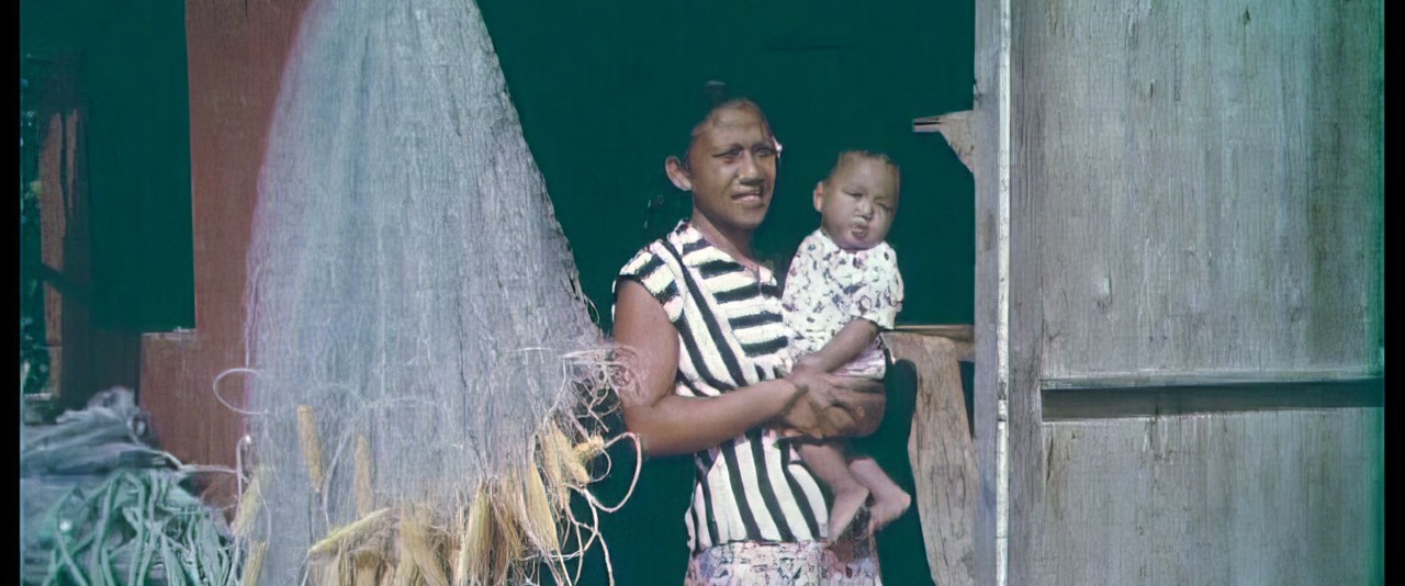 L'avion du bout du monde