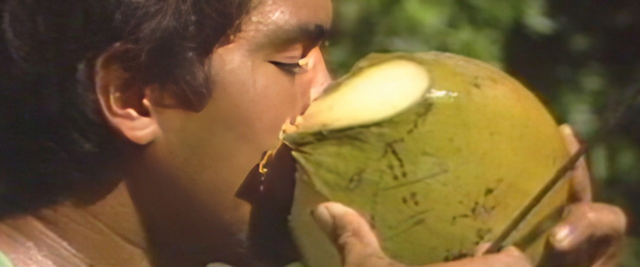 Te ora - Le cocotier