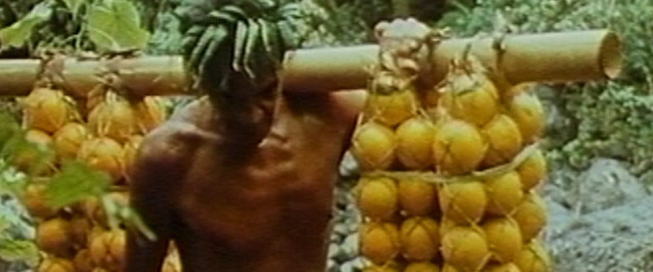 Polynésie sauvage - Les oranges sauvages de Tahiti