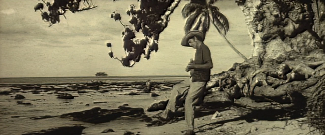 Charley Mauu sur les hauteurs de la presqu'île