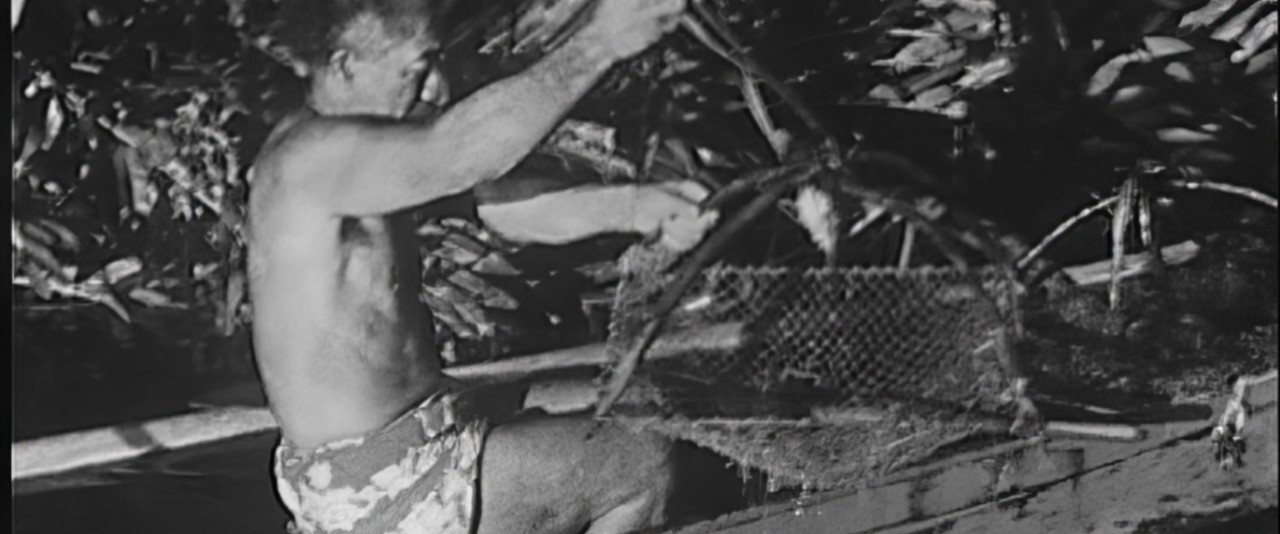 Tahiti Films - Pêche aux crabes avec casiers