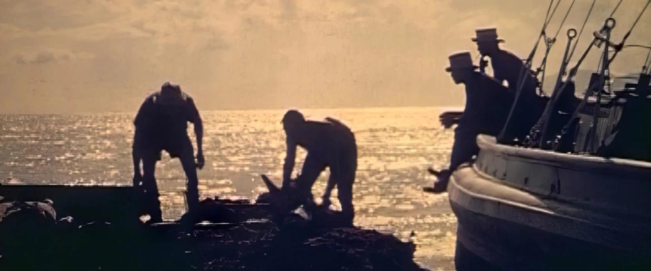 Tahiti Films - Happy return