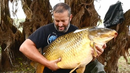 The Pursuit of a Dream Volume 1