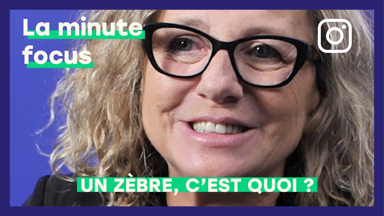 Un zèbre, c'est quoi ?