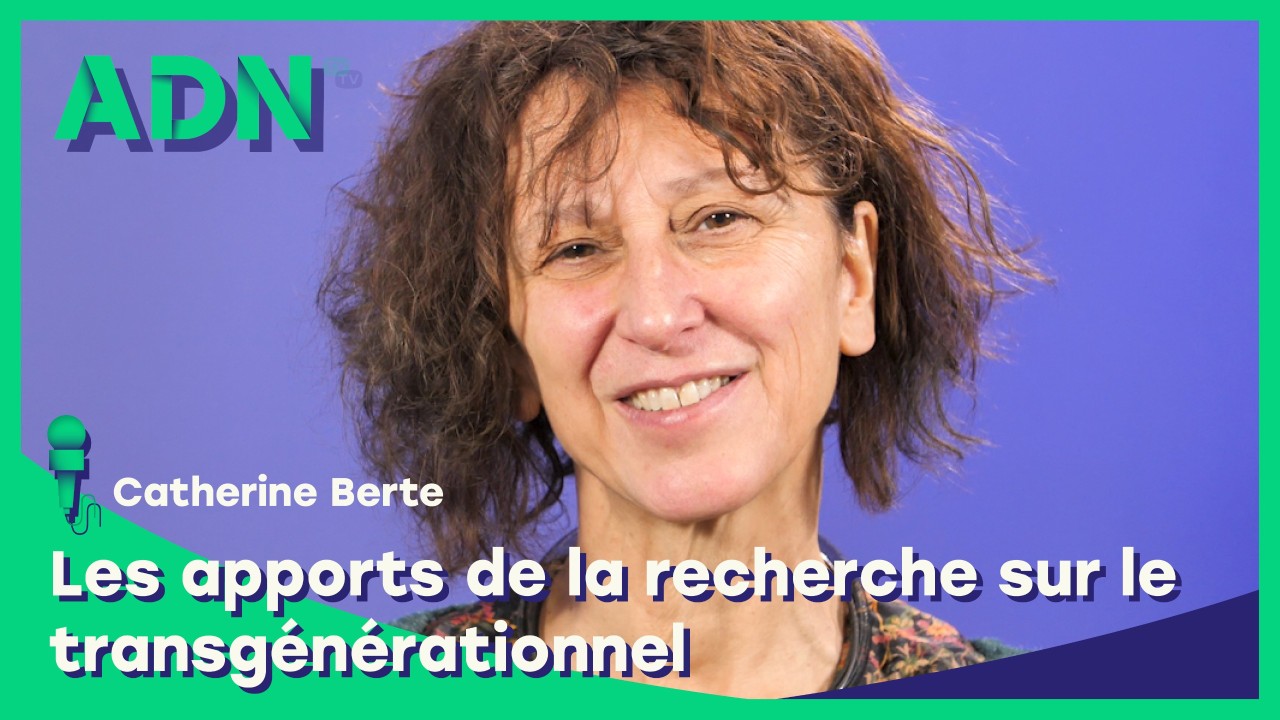 Les apports de la recherche sur le transgénérationnel
