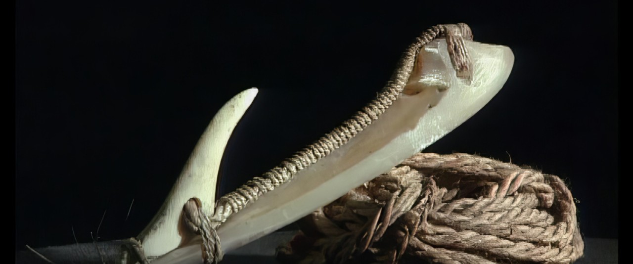 Te faufaa tupuna - Leurre à bonite