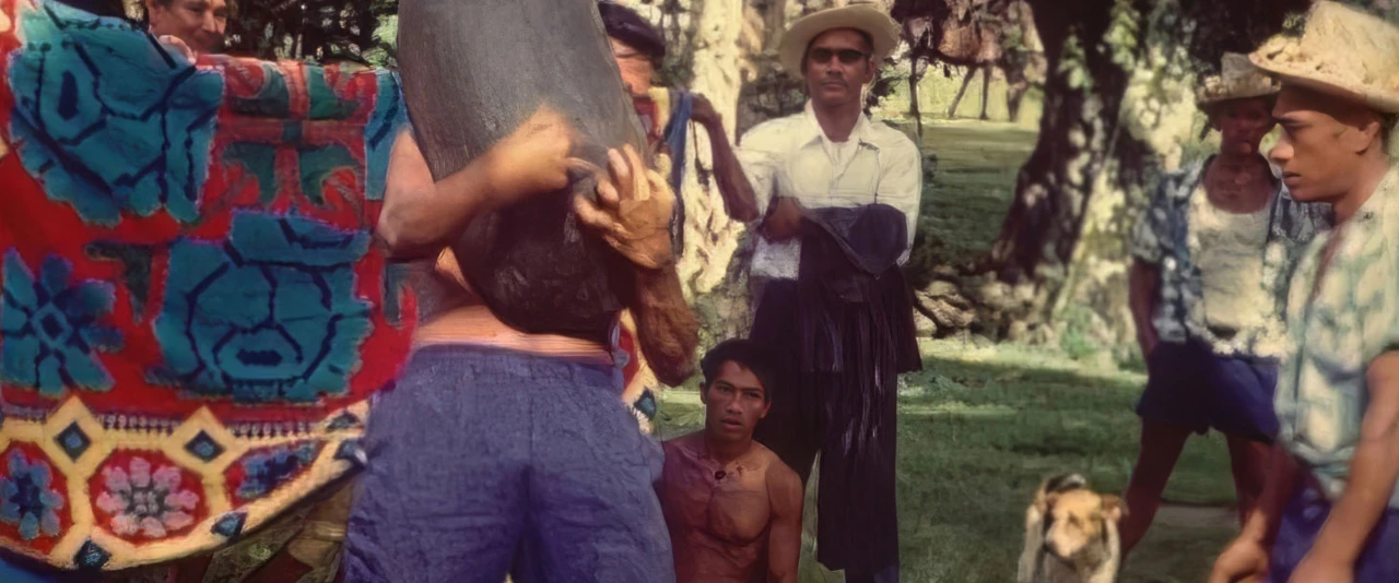 Mémoires de Polynésie - Concours de lever de pierre