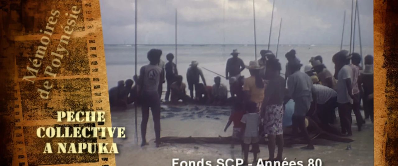 Mémoires de Polynésie - Pêche collective au filet à Napuka