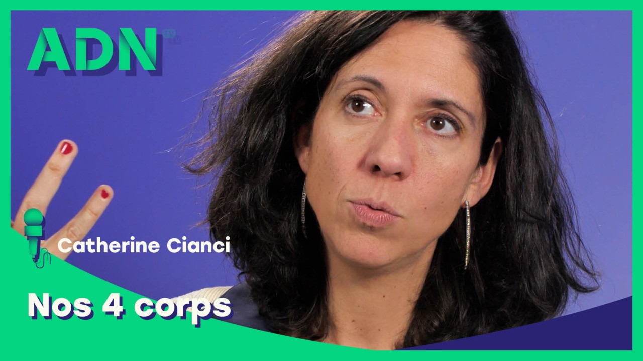 Nos 4 corps