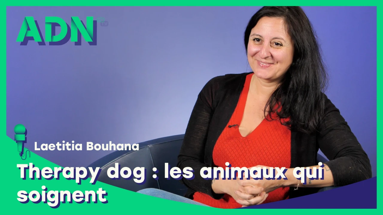 Therapy dog : Les animaux qui soignent
