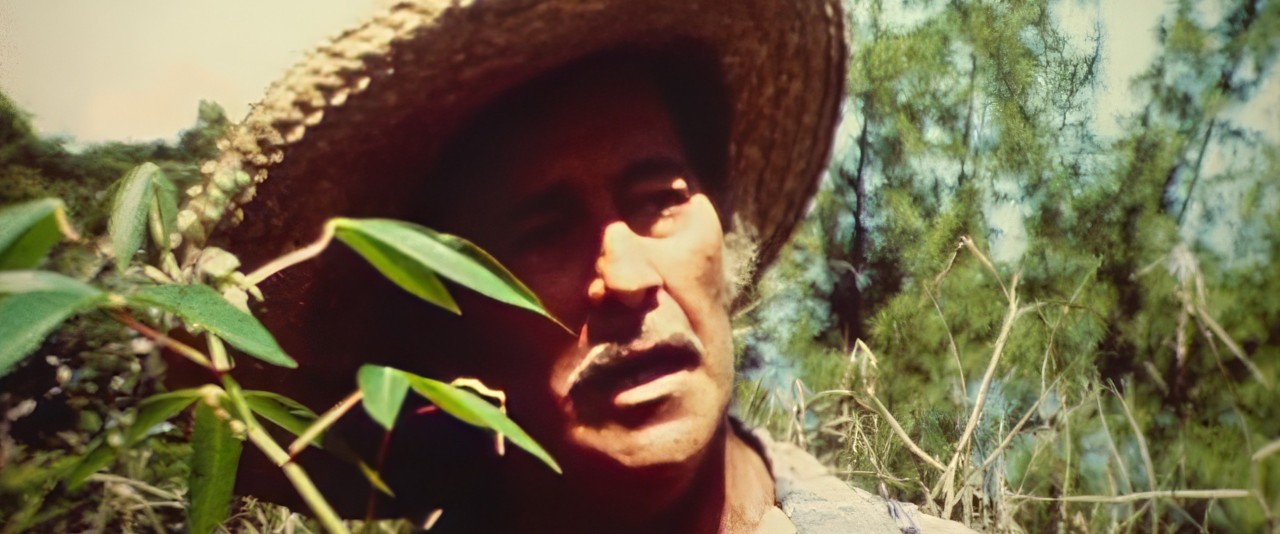 Tour de l'île en chanson - Charley Mauu