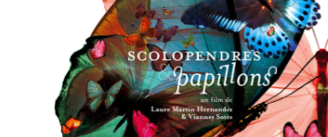 Scolopendre et Papillon