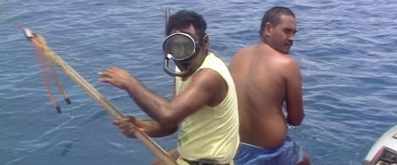 Tuamotu, poussière de corail