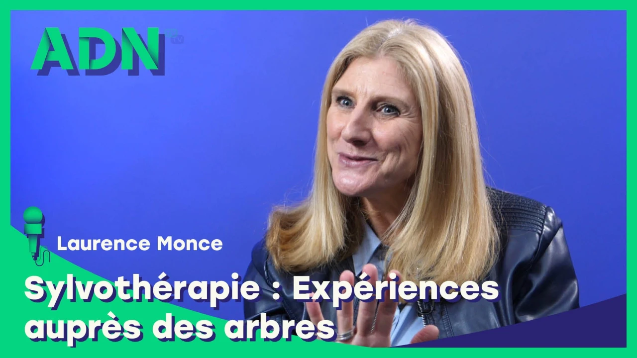 Sylvothérapie : Expériences auprès des arbres