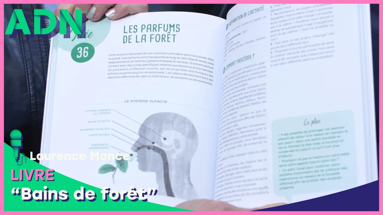 Livre : Bains de forêt