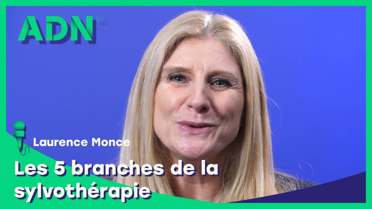 Les 5 branches de la sylvothérapie