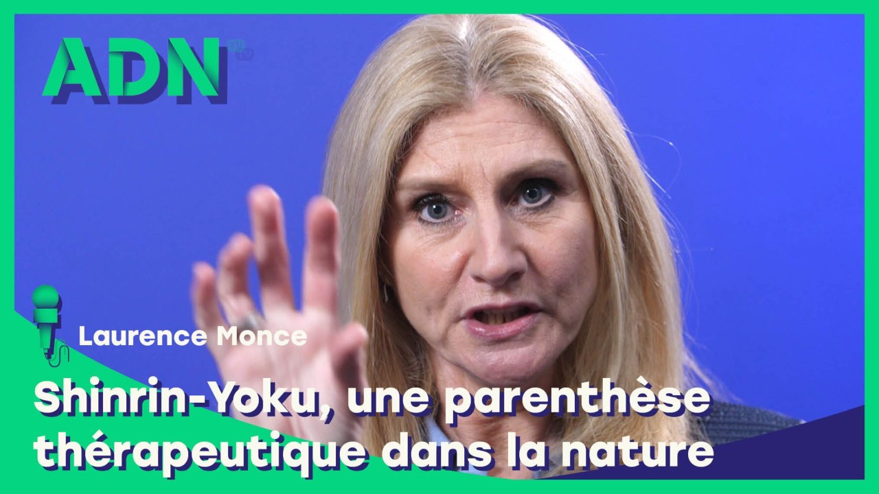 Shinrin-Yoku, une parenthèse thérapeutique dans la nature