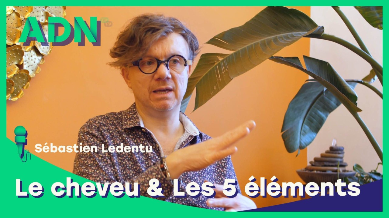 Le cheveu & Les 5 éléments