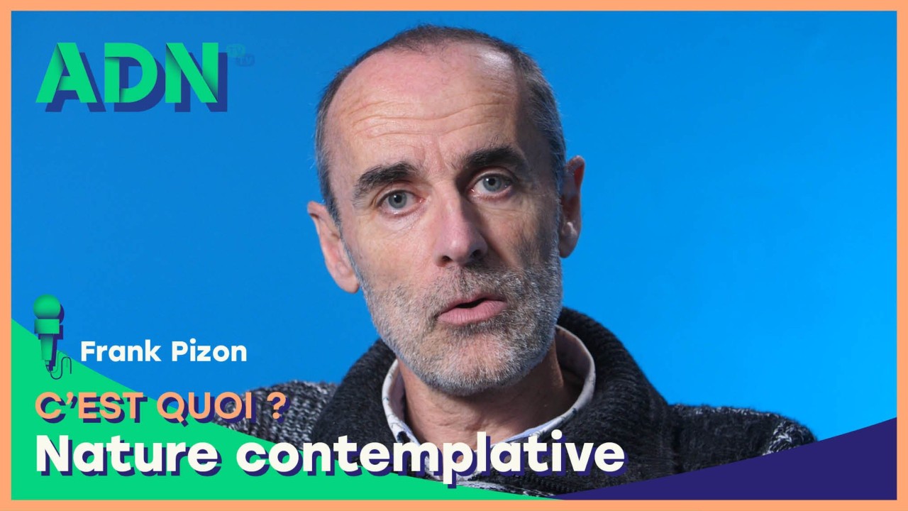 La nature contemplative, c'est quoi?