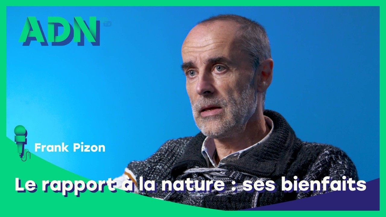 Le rapport à la nature : Ses bienfaits