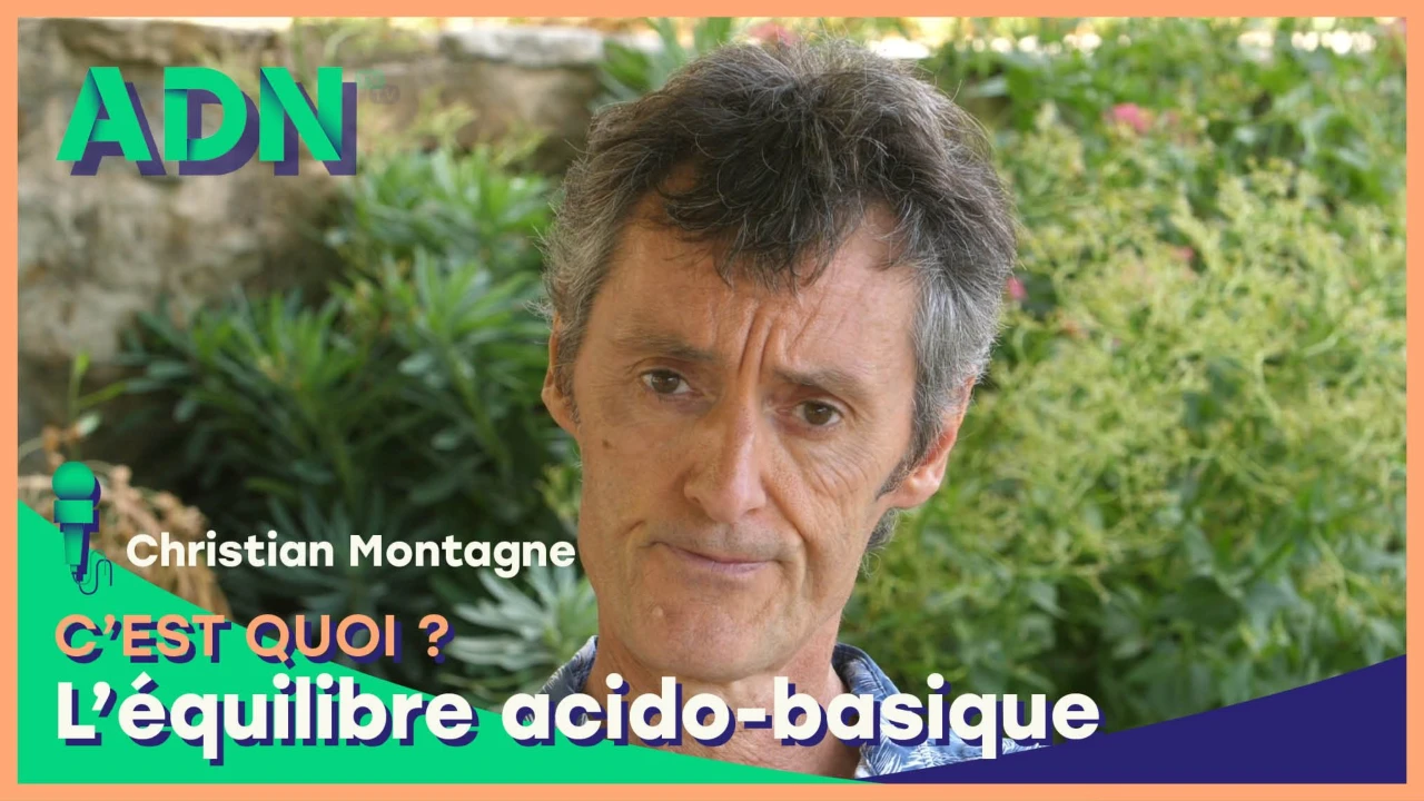 L'équilibre acido-basique, c'est quoi ?
