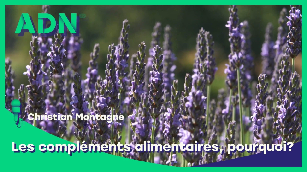 Les compléments alimentaires, pourquoi ?