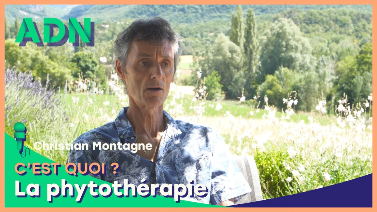 La phytothérapie, c'est quoi ?
