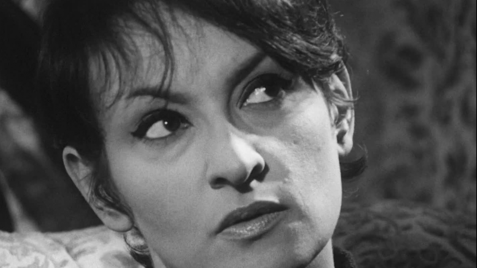 Une femme qui chante - Intégrale 19 CD - Format livre : CD