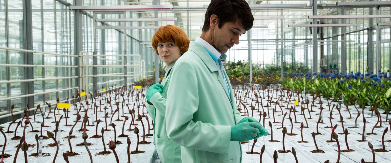 A Flor da Felicidade