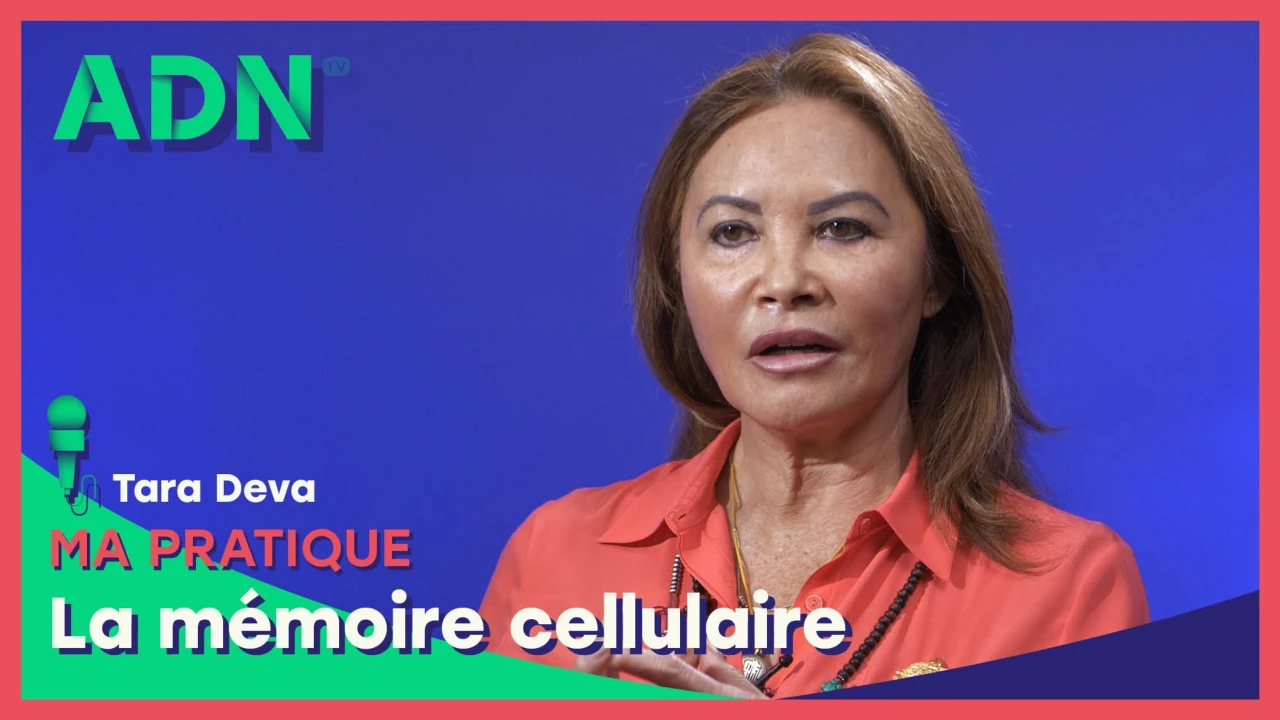 Ma pratique : La mémoire cellulaire