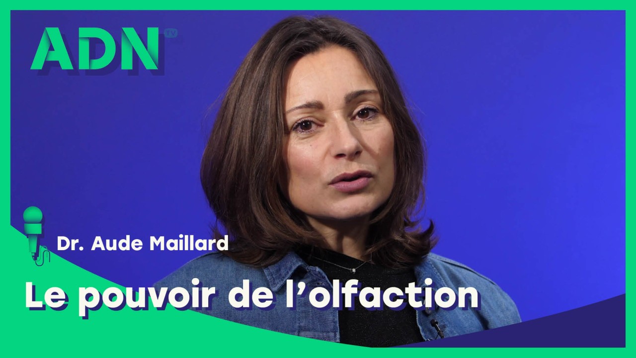 Le pouvoir de l’olfaction