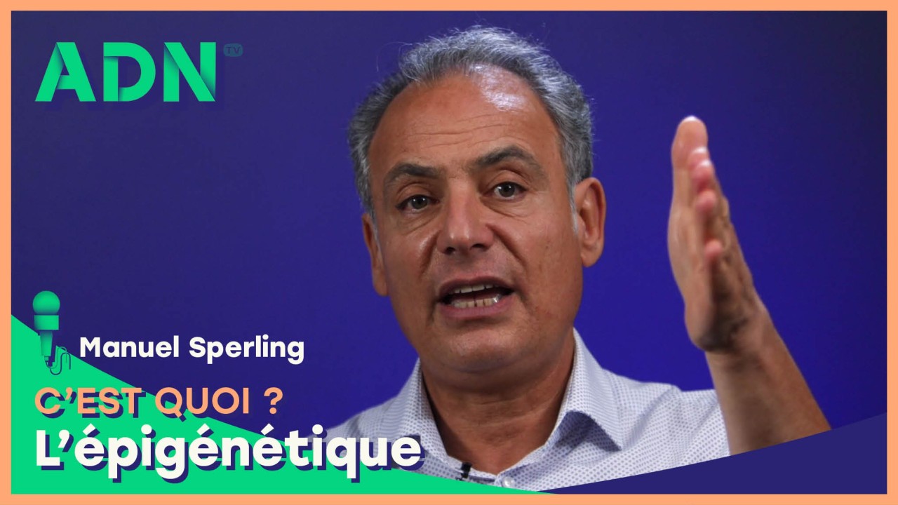 L'épigénétique, c'est quoi ?
