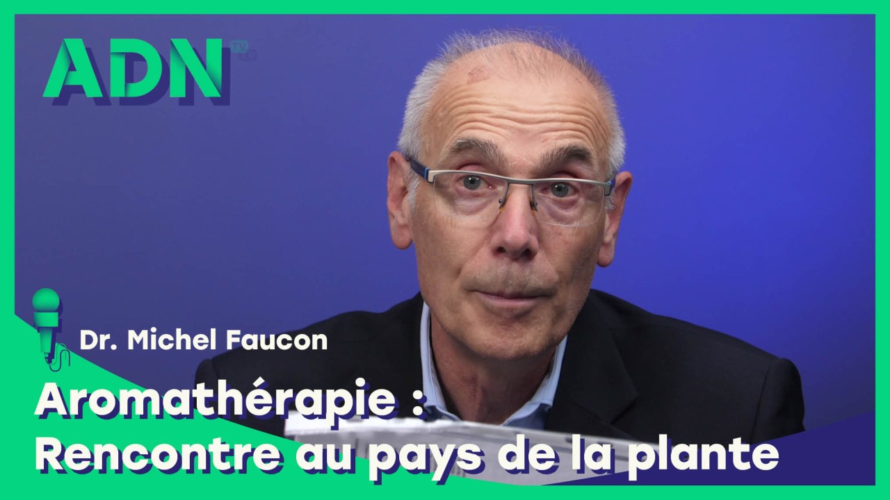 Aromathérapie : Rencontre au pays de la plante