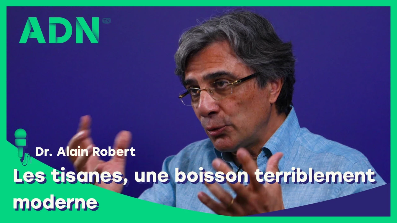 Les tisanes, une boisson terriblement moderne